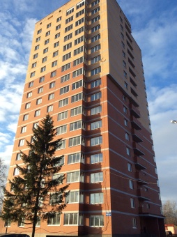 Кирпич облицовочный Солома полуторный Terex