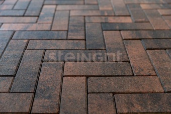 Тротуарная плитка Steingot Паркет 60 Колор-микс Тигр частичный прокрас