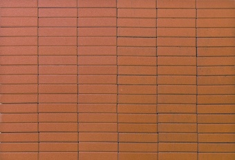 Тротуарная плитка Braer Прямоугольник Оранжевый 200x50x60