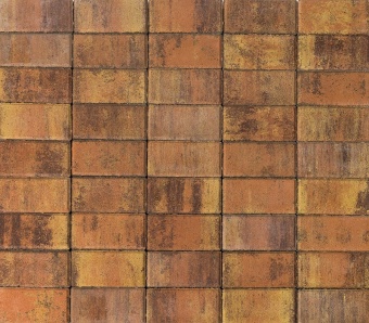 Тротуарная плитка Braer Прямоугольник Color Mix Тип 17 Прайд 200х100х40