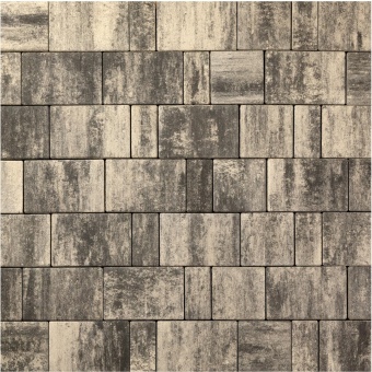 Тротуарная плитка 342 Механический завод Новый город 60 Колор Микс Арктика