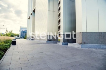 Тротуарная плитка Steingot Плато Колор Микс Штайн Сильвер частичный прокрас