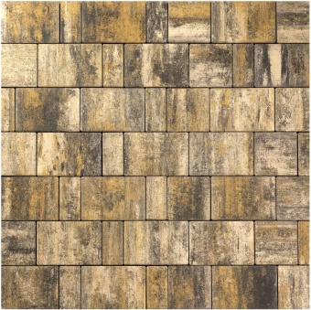 Тротуарная плитка 342 Механический завод Новый город 60 Колор Микс Байкал