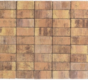 Брусчатка Braer Прямоугольник ColorMix 200х100х60мм цвет Прайд, BRAER