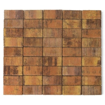 Тротуарная плитка Braer Прямоугольник Прайд толщина 60